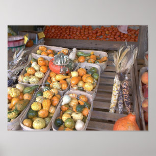 Roadside Squash Poster