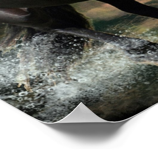 Roam de Tide Poster (Hoek)