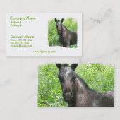 Roan Colt Visitekaartje (Voorkant / Achterkant)