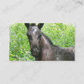 Roan Colt Visitekaartje (Achterkant)