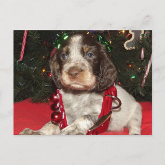 Roan Engelse Puppy van Kerstmis van het Spaniel Feestdagenkaart