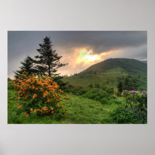 Roan Mountain Art Print