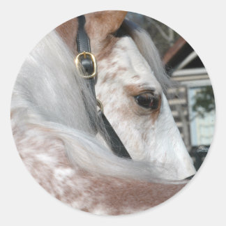 Roan Walking Horse Ronde Sticker