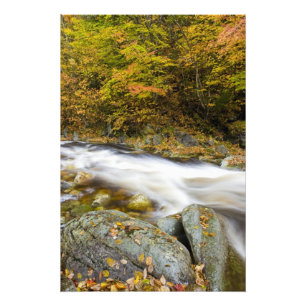 Roaring Brook in de herfst in Vermont's Green Foto Afdruk