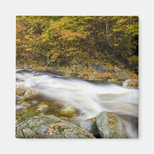 Roaring Brook in de herfst in Vermont's Green Magneet