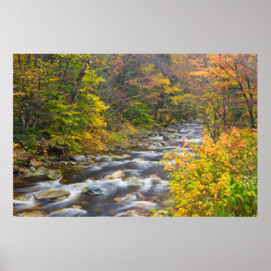 Roaring Brook in de herfst in Vermont's Green Poster