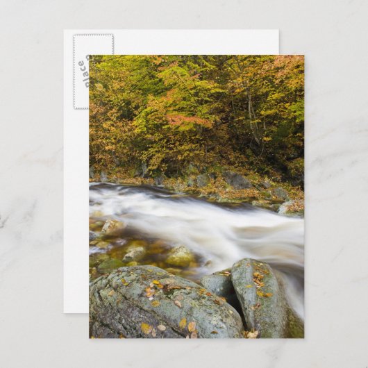 Roaring Brook in herfst in Vermont's Green Briefkaart (Voorkant / Achterkant)