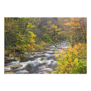 Roaring Brook in herfst in Vermont's Green Foto Afdruk