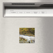 Roaring Brook in herfst in Vermont's Green Magneet (Insitu (Vaatwasser))
