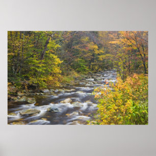 Roaring Brook in herfst in Vermont's Green Poster