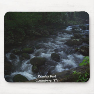 Roaring Fork - Gatlinburg, TN Muismat