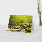 Roaring Fork in de lente Kaart (Voorkant)