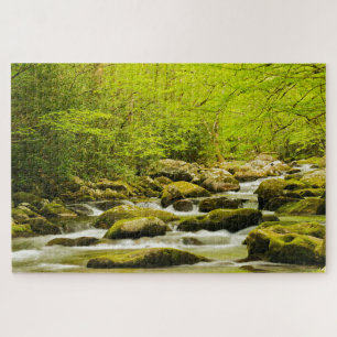 Roaring Fork in de lente Legpuzzel