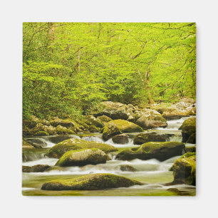 Roaring Fork in de lente Magneet