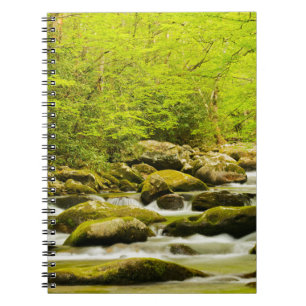 Roaring Fork in de lente Notitieboek