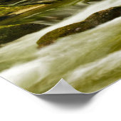 Roaring Fork in de lente Poster (Hoek)