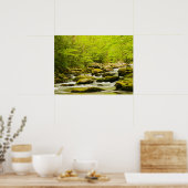 Roaring Fork in de lente Poster (Keuken)