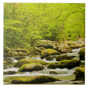 Roaring Fork in de lente Tegeltje