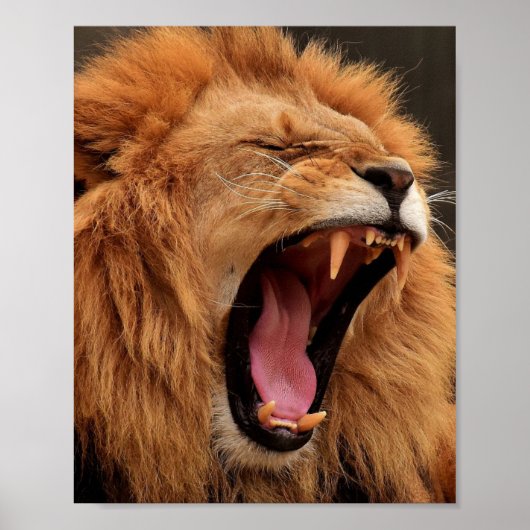 ROARING LION POSTER (Voorkant)