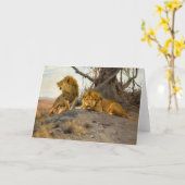 Roaring Lions | Wilhelm Kuhnert Kaart (Gele Bloem)