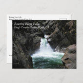 Roaring River Falls, King's Canyon, CA Carte posta (Devant / Derrière)