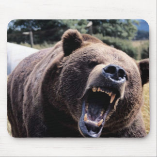 Roaring Teddy Bear Muismat