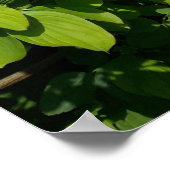 Rob met witte bloemen poster (Hoek)