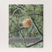 Robbin dans les arbres Jigsaw Puzzle (Vertical)