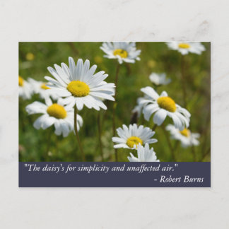 Robert Burns Daisy Quote Briefkaart