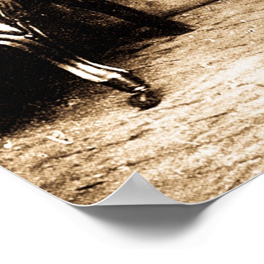 Robert E. Lee Mathew Brady Poster (Hoek)