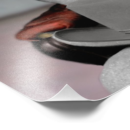 Robert E. Lee Photo Print (Coin)