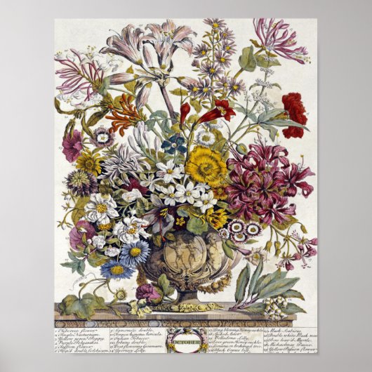 Robert Furber - oktober - twaalf maanden Poster (Voorkant)