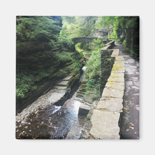 Robert h. treman state park bridge magneet