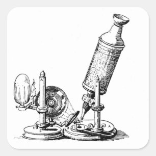 Robert Hooke's microscoop Vierkante Sticker