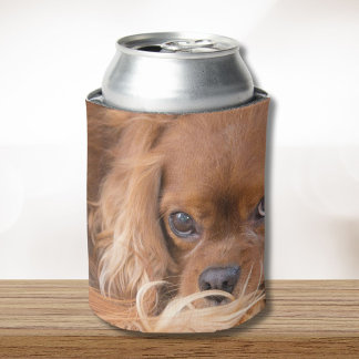 Robijn Cavalier King Charles Spaniel Blikjeskoeler