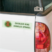 Robijn Cavalier King Charles Spaniel Hond Op Groen Bumpersticker (Op Truck)