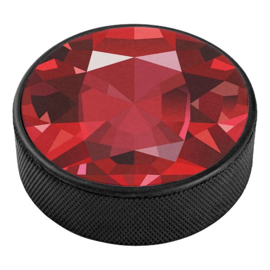 Robijn Hockey Puck (3/4)