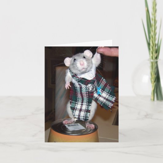 Robijn in haar Kaart van de Kilt (Voorkant)