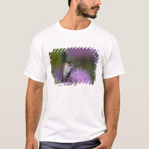 Robijnkeelkolibrie in vlucht bij distel t-shirt