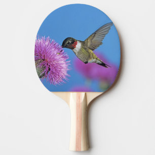 Robijnkeelkolibrie Tafeltennisbatje