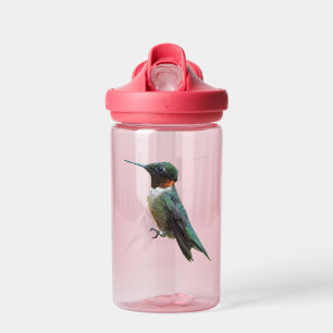 Robijnkeelkolibrie Vogel Fotografie Waterfles