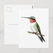 Robijnkolibrie Briefkaart (Voorkant / Achterkant)