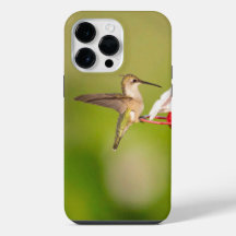 Robijnkolibrie iPhone Hoesje #108A0605