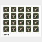 Robijnkolibrie Vierkante Sticker (Vel)