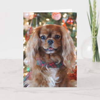 Robijnrode Kerstmis Feestdagen Kaart