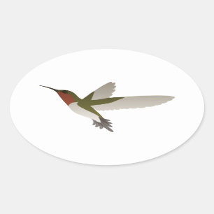 Robijnrode Kolibrie Throated Ovale Sticker