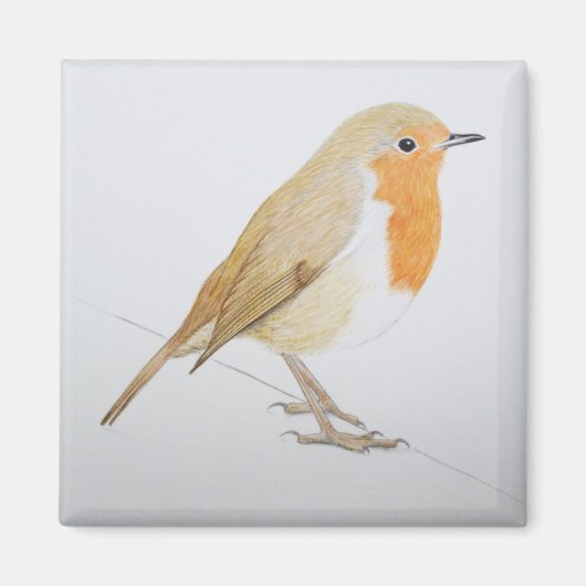 Robin 2011 magneet (Voorkant)