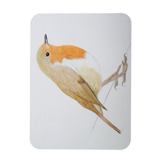 Robin 2011 magneet (Verticaal)