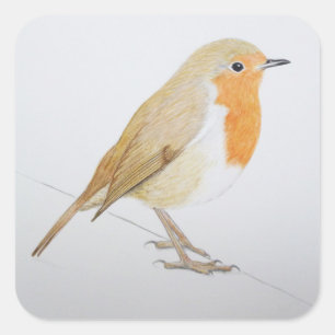 Robin 2011 vierkante sticker