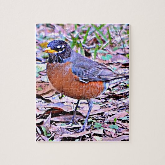Robin (Amerikaanse Robin) Legpuzzel (Verticaal)